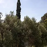 Tranquil